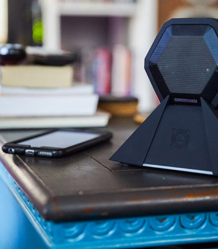 CHUCK INGLISH SLAPS DA BASS